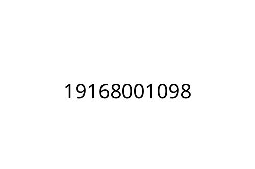 19168001098