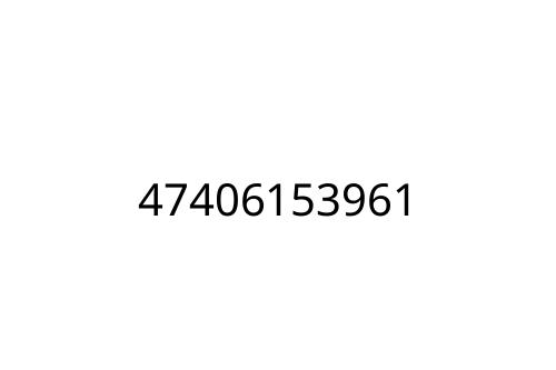 47406153961