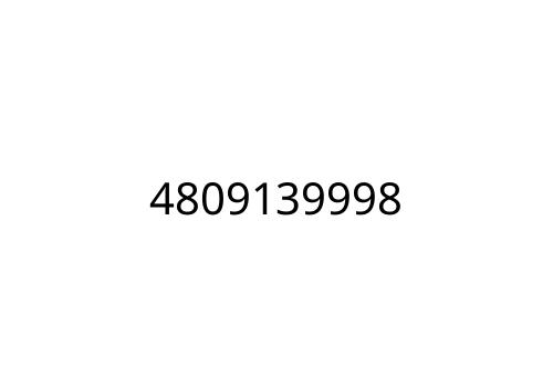 4809139998
