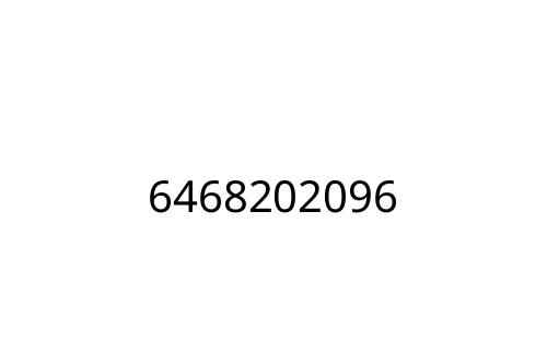 6468202096