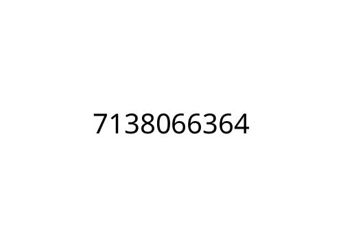 7138066364