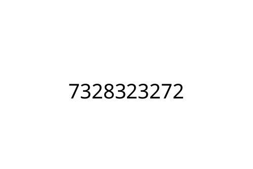 7328323272