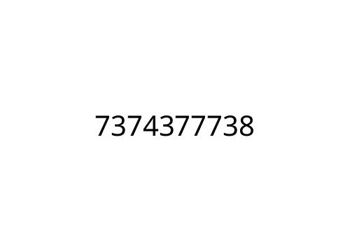 7374377738