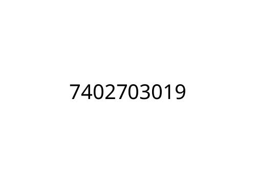 7402703019