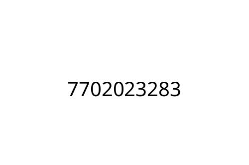 7702023283