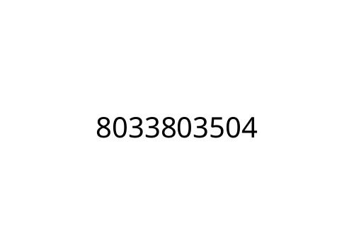 8033803504