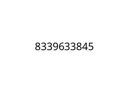 8339633845