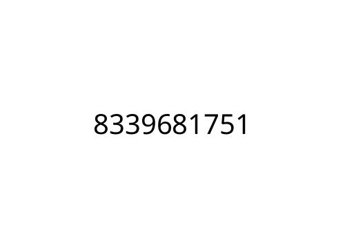 8339681751