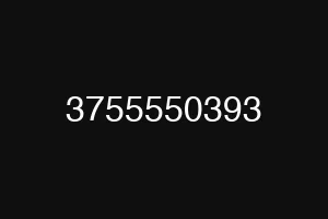 3755550393