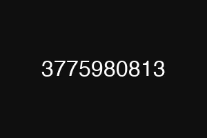 3775980813