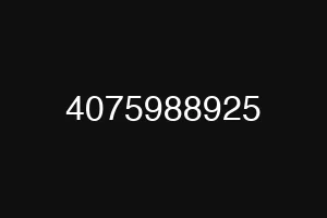 4075988925
