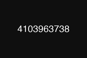 4103963738