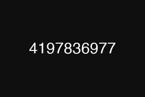 4197836977