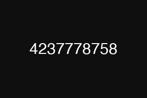 4237778758