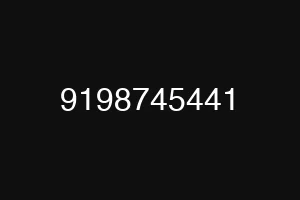 9198745441