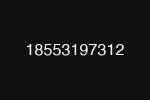 18553197312