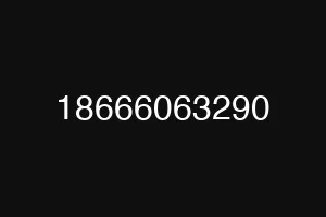18666063290