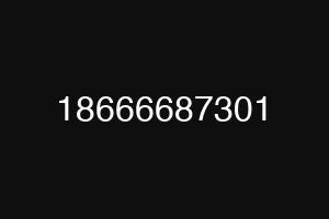 18666687301