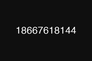 18667618144