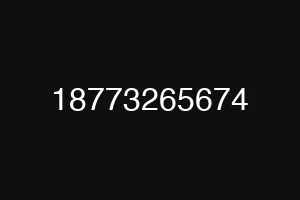 18773265674
