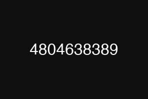 4804638389