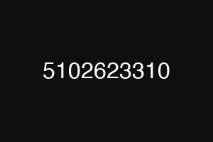 5102623310