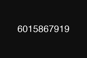 6015867919