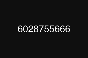 6028755666