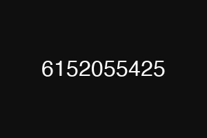 6152055425