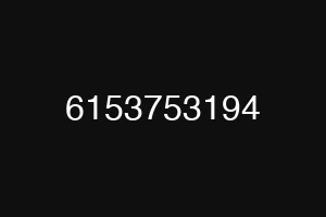 6153753194