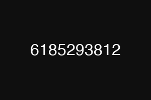 6185293812