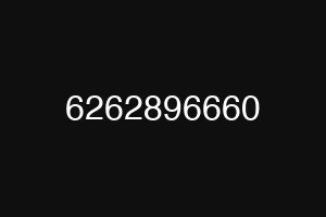 6262896660