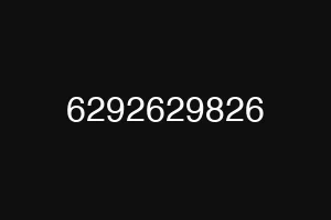 6292629826