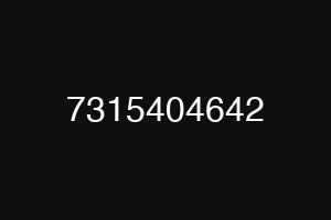 7315404642