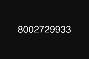 8002729933