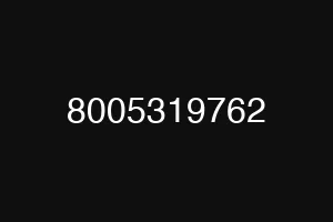 8005319762