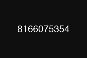 8166075354