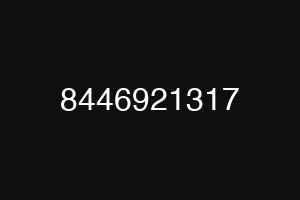8446921317