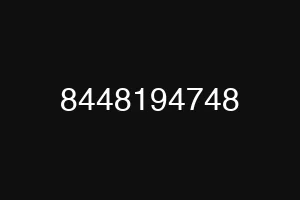 8448194748
