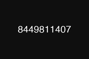 8449811407