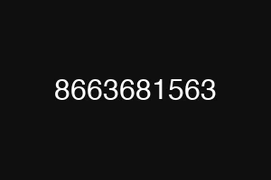 8663681563