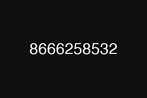 8666258532