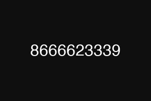 8666623339