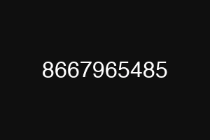 8667965485
