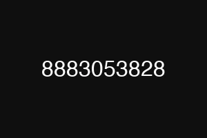 8883053828