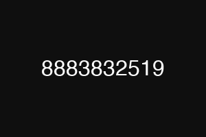 8883832519