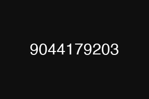 9044179203