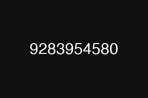 9283954580